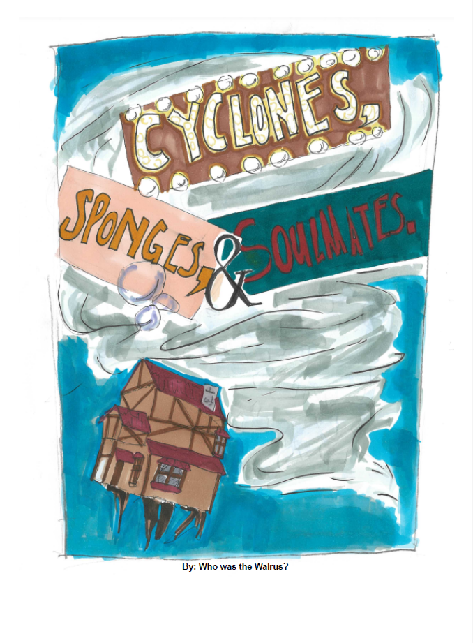 Book Cover Cyclones Sponges Soulmates
